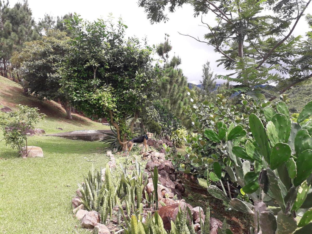 Hawk'S Nest Bed & Breakfast La Laguna de San Carlos Exteriér fotografie