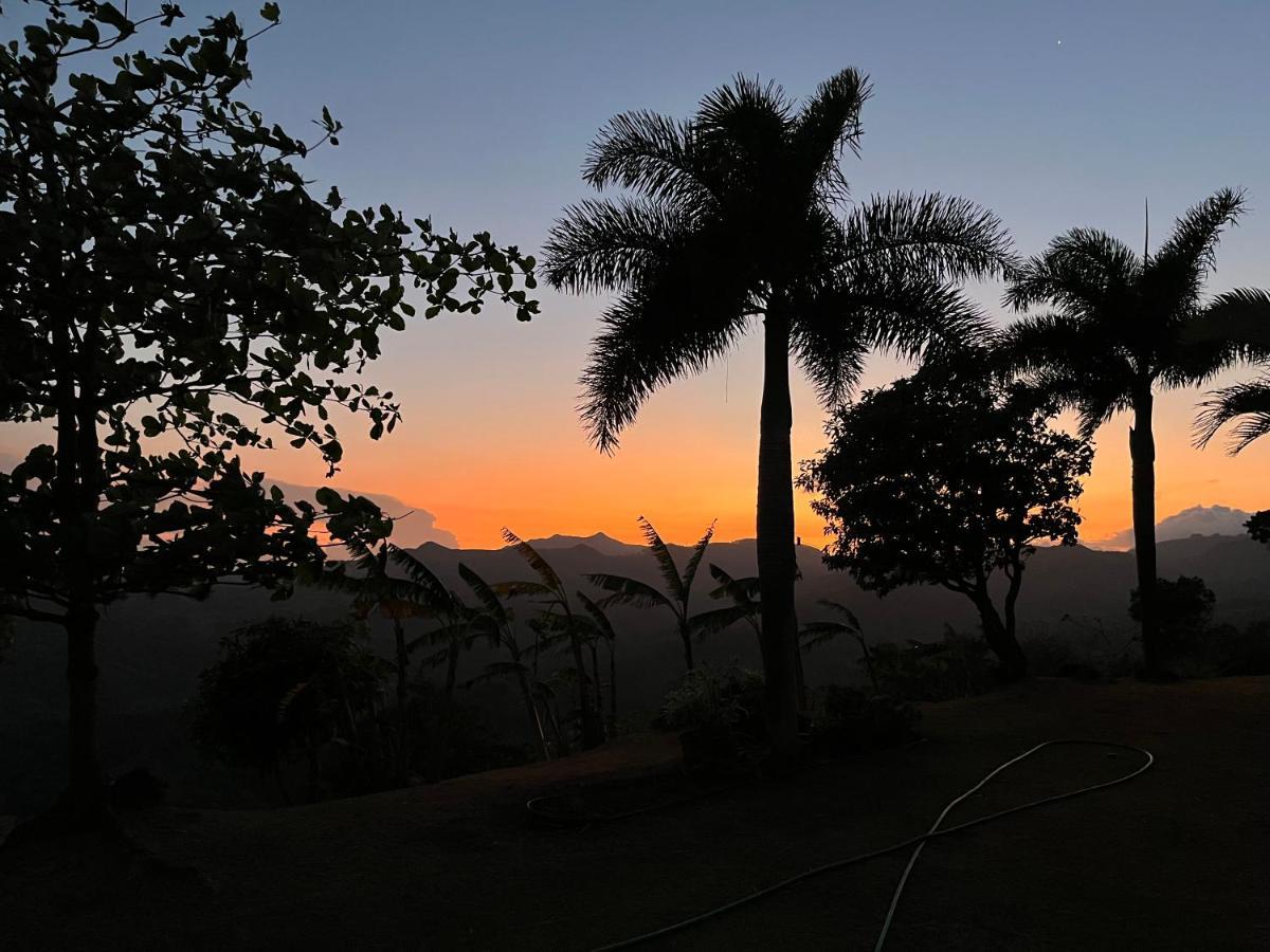 Hawk'S Nest Bed & Breakfast La Laguna de San Carlos Exteriér fotografie