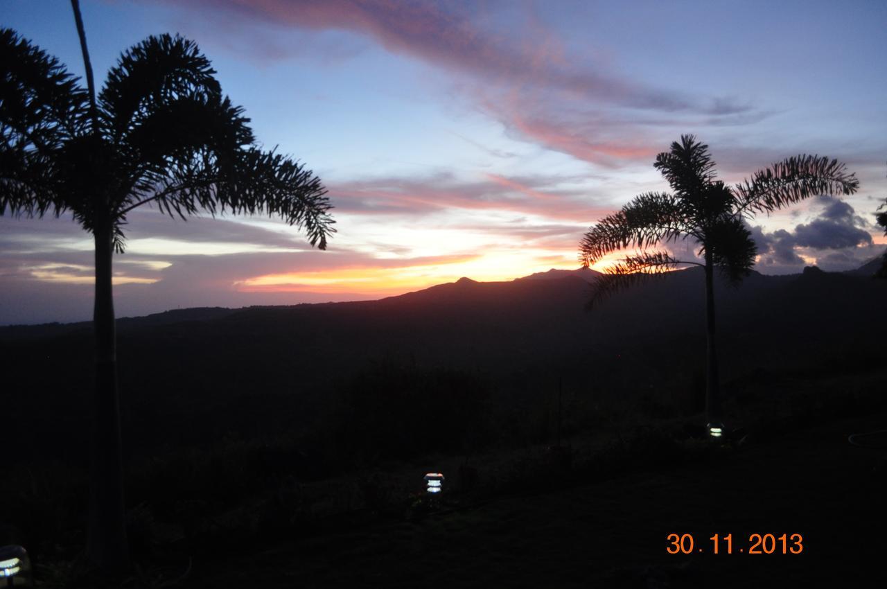 Hawk'S Nest Bed & Breakfast La Laguna de San Carlos Exteriér fotografie